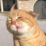 千颂伊