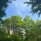 我是小朋友