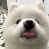 昵称称昵123