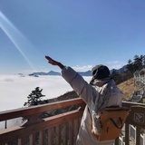 不二嬢嬢