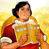 顿