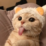 逢森
