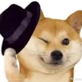 不知道在装什么