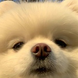 かか