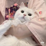 Eiki