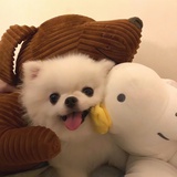 今晚我就要远航
