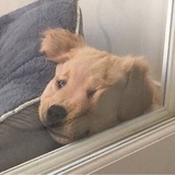 故秋