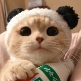 万年不上线棒棒