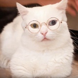 博子