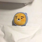 邻家花美男