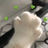 风铃