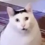 huh？