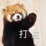 朴纤纤