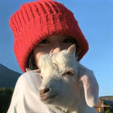 等到秋天