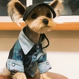 暗人不说明话