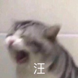 A_NONYME404