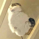 玛卡巴卡