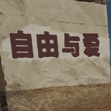 张海婳