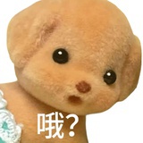 bwwjshwqhwl