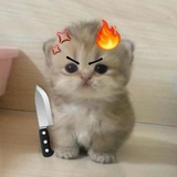 詹莉99