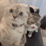 慕子舟