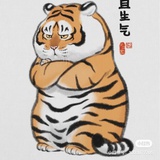 Vga嘎嘎