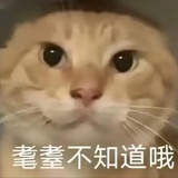 王敬轩