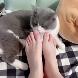 青心