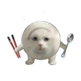 废柴一只 2.0版