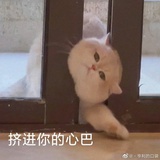 莫非