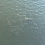 已注销