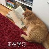 谁用头脑换垃圾
