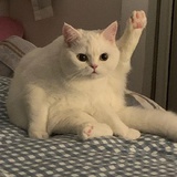 用户25688258