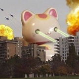 花花