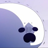 海豹豹豹豹