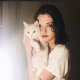 小鹿
