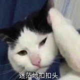 搞竞人（心碎版