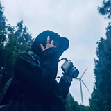 一只胶片猫