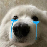 你很牛吗