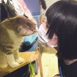 芝麻糊糊