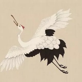 洛洛