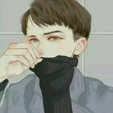 偷故事的猫K