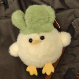 蒜鸟君🐤