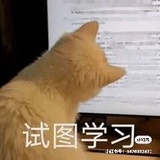 早日上岸