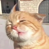 123456