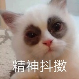 成为……