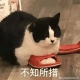 嘛嘛嘛