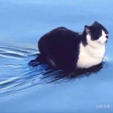 你不要过来啊