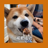 Lynne茳