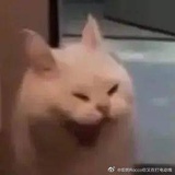 九月飘香